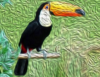 Tocantins Communications